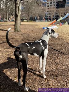 BayBelle Onlyfans Утечки Нагого Альбома