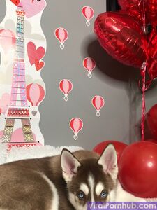 Marley Brinx Onlyfans Leaks Neuester Fotosatz