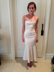 超热的艾玛·沃特森裸体照在互联网上泄露