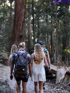 jasminerenee Onlyfans Neueste Nacktfoto-Leaks