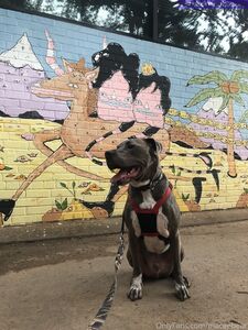 neptunenips Onlyfans 最新のヌード写真リーク