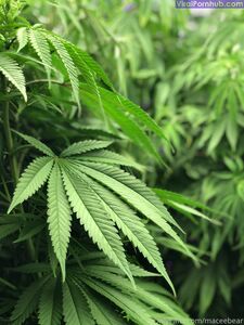 neptunenips Onlyfans Dernières fuites de photos nues