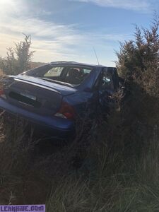 liddolpet 独家 onlyfans 泄露的裸照